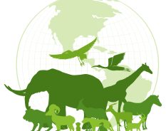 Site da BASF em Jacareí recebe reconhecimento Internacional pela Proteção da Biodiversidade