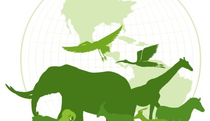 Site da BASF em Jacareí recebe reconhecimento Internacional pela Proteção da Biodiversidade