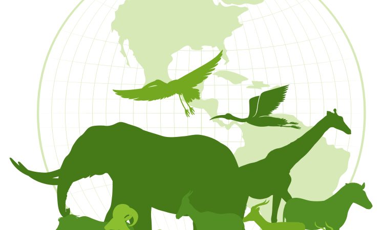 Site da BASF em Jacareí recebe reconhecimento Internacional pela Proteção da Biodiversidade