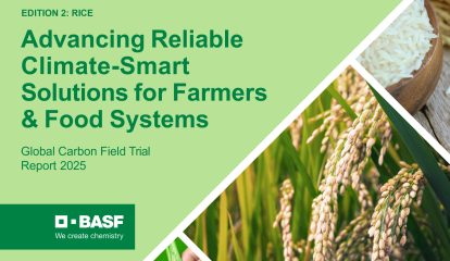 BASF avança em práticas de arroz inteligente para reduzir emissões e consumo de água