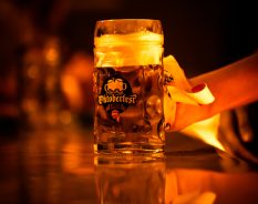 São Paulo Oktoberfest 2025 terá Copa Paulista de Cervejas Artesanais