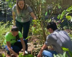 Volkswagen patrocina Museu de Ciências da Amazônia