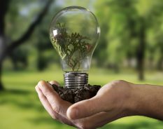 B.E.G. Brasil e Lucchi firmam parceria para atender mercado de iluminação com soluções inovadoras e sustentáveis
