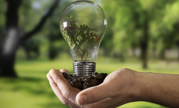 B.E.G. Brasil e Lucchi firmam parceria para atender mercado de iluminação com soluções inovadoras e sustentáveis
