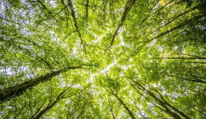 CBAIS 2025: Edição especial Pré-COP30 discute tendências internacionais para um futuro Net Zero e resiliente às mudanças climáticas