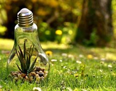 Fábrica Voith Paper na Amazônia é fundamental para transformação digital na América Latina