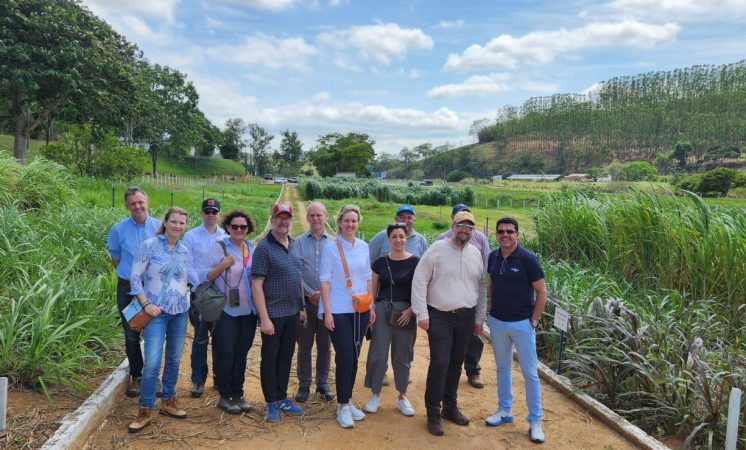Delegação de parlamentares bávaros visita o Brasil com foco em cooperação nas áreas de agricultura, pecuária, silvicultura e turismo