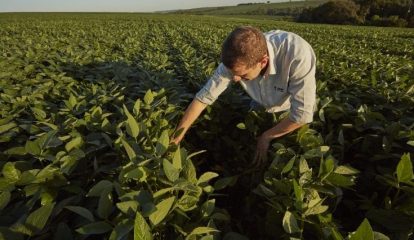 BASF Agricultural Solutions adquire AgBiTech, que atua em controle de insetos