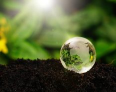 Siemens: Relatório mostra redução de quase 50% de emissões de CO₂ em seis anos