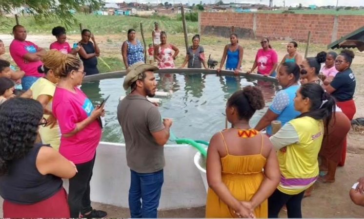Iniciativa da Aldeias Infantis SOS contribui para segurança alimentar e sustentabilidade em Pernambuco