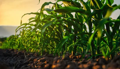 Programa da Bayer transforma o plantio de 2 milhões de hectares por ano