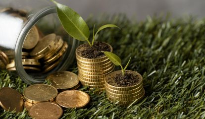 Tero Carbon lança guia sobre mercado de crédito de carbono