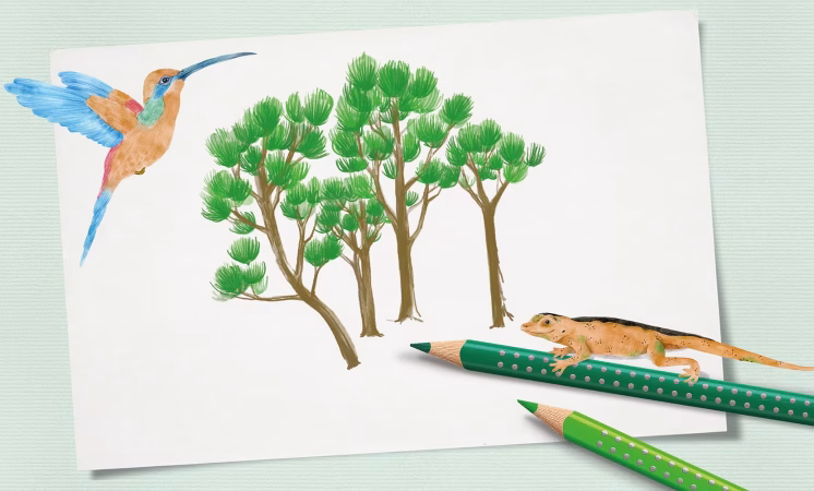 Faber-Castell divulga relatórios de sustentabilidade do ano fiscal 2024/25