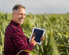 SAP faz parceria estratégica para escalar agricultura assistida por IA