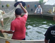 Projeto Horta Vida beneficia 34 famílias e fortalece segurança alimentar