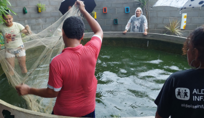 Projeto Horta Vida beneficia 34 famílias e fortalece segurança alimentar