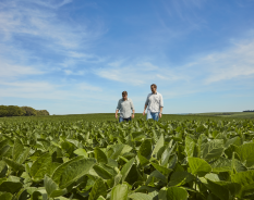 BASF finaliza aquisição da AgBiTech e amplia presença no Brasil