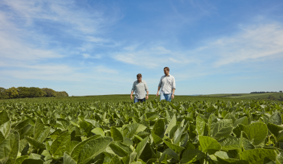 BASF finaliza aquisição da AgBiTech e amplia presença no Brasil