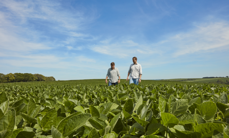 BASF finaliza aquisição da AgBiTech e amplia presença no Brasil