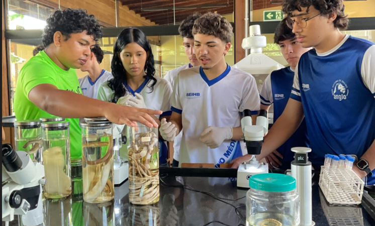 VWCO amplia seu impacto social com apoio a novos projetos em 2026