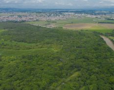 BASF conquista certificação internacional por compromisso com proteção ambiental