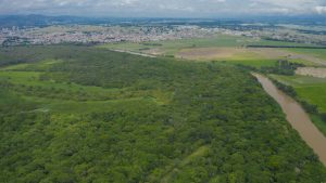 Excelência ambiental