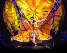 SAP leva automação inteligente às operações globais do Cirque du Soleil