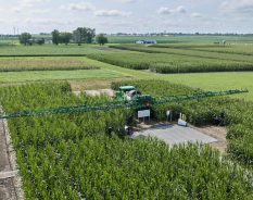 Bayer acelera desenvolvimento de novas tecnologias para o agronegócio