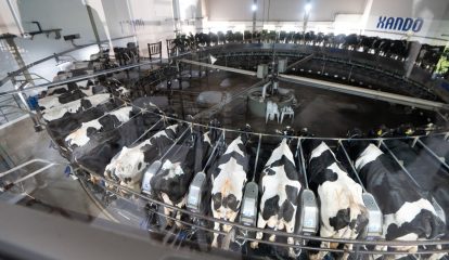 Boehringer Ingelheim apresenta resultados de programa de biosseguridade em fazendas leiteiras
