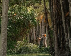 STIHL Brasil lança Relatório de Sustentabilidade com escopo da América Latina