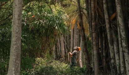 STIHL Brasil lança Relatório de Sustentabilidade com escopo da América Latina