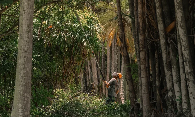 STIHL Brasil lança Relatório de Sustentabilidade com escopo da América Latina